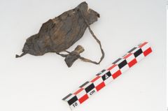 Etikett zu Rohhaut (NHMW-PRAE-125697)